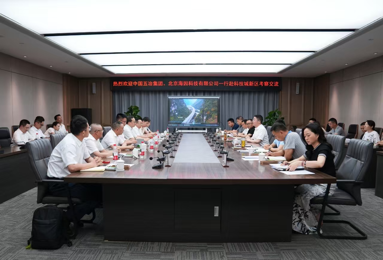 绵阳市重大项目推进专题会