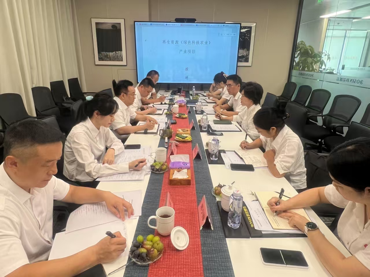 “新能源，新材料，新农业”项目推进会